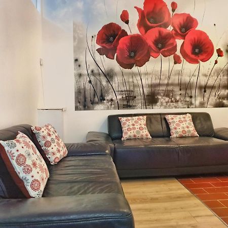 Cozy Penthouse In A New Business Building In City Center. Free Private Parking Apartman Kolozsvár Kültér fotó
